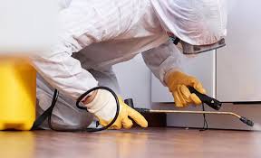 Real Estate Pest Inspections in Lely, FL